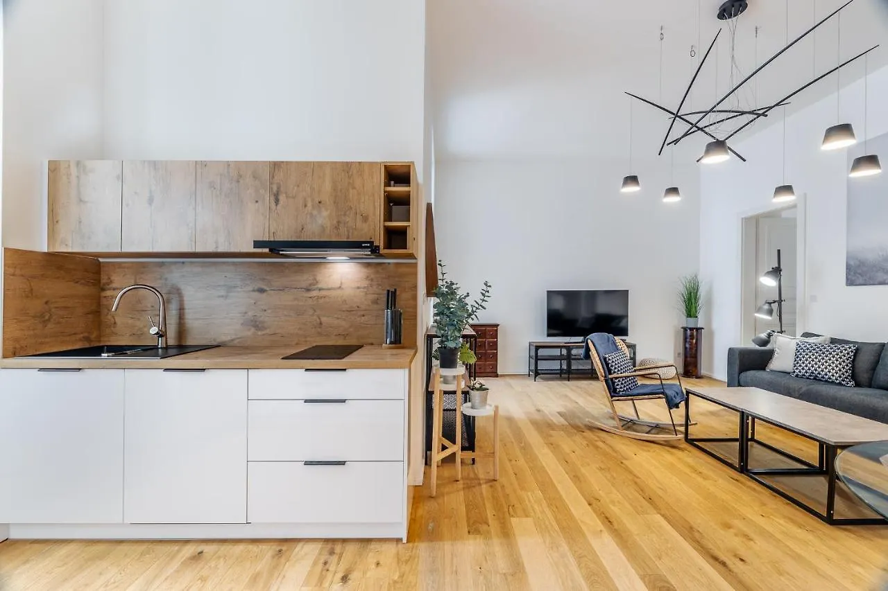 Elegant Apartments Located In The Centre Of Prag